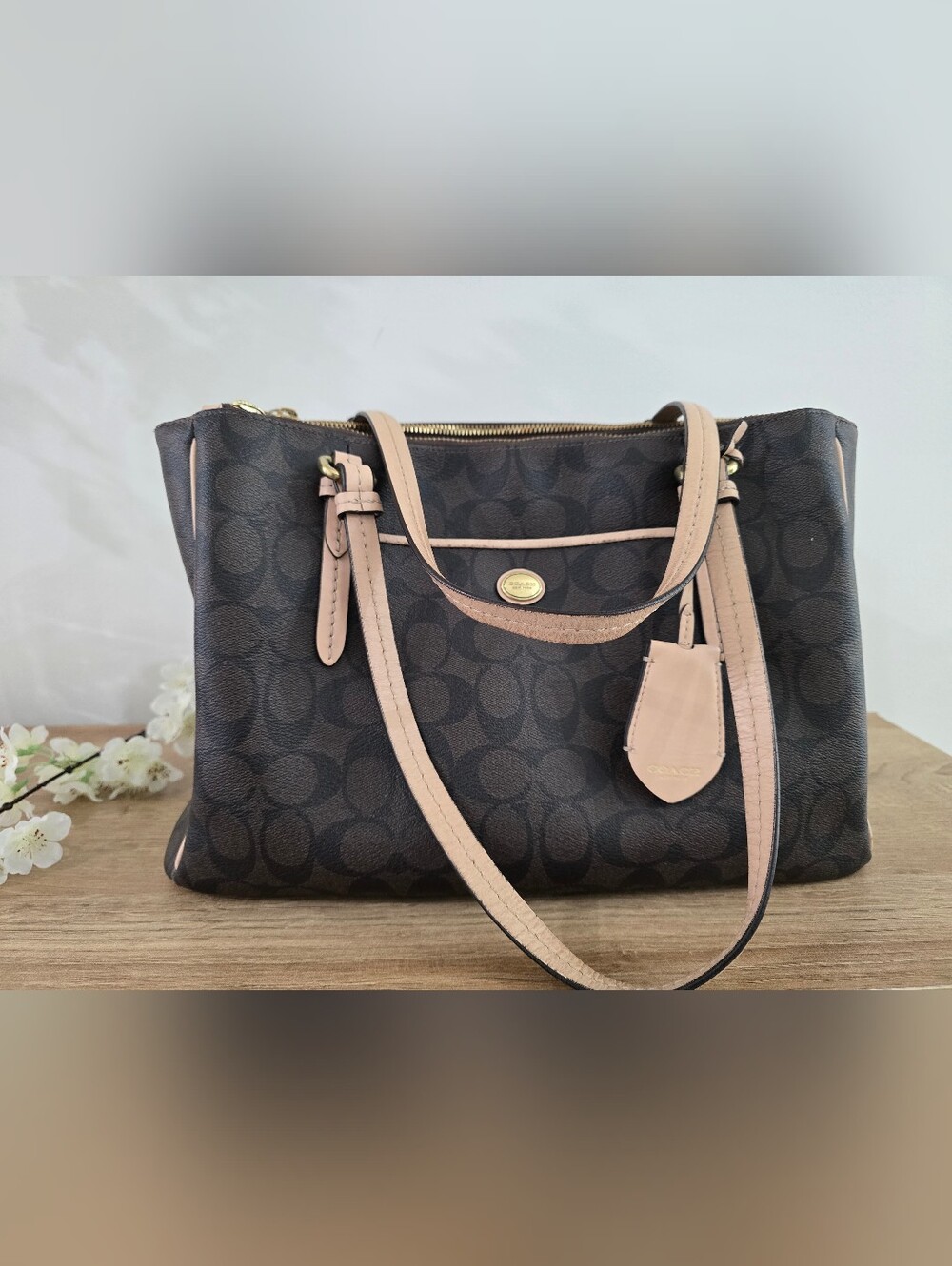 Coach Peyton Signature Jordan Double Zip Tote